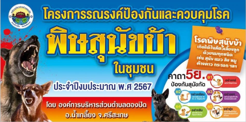 วันที่ 23 เมษายน2567 ถึง วันที่ 13 พฤษภาคม 2567 เวลา 09.00 - 12.00 น. องค์การบริหารส่วนตำบลตองปิด นำโดยนายสามารถ นนทะศรี นายกองค์การบริหารส่วนตำบลตองปิด นางสาวศุภาณัฐกาญจน์ เพ็งพาธวัต ปลัดองค์การบริหารส่วนตำบลตองปิด มอบหมายให้งานเกษตร และเจ้าหน้าที่ที่เกี่ยวข้อง ร่วมกับผู้นำชุมชน  พี่น้องชาวบ้านตำบลตองปิด หมู่ที่1-14 ต.ตองปิด อ.น้ำเกลี้ยง จ.ศรีสะเกษ ออกประชาสัมพันธ์และรณรงค์ควบคุมป้องกันโรคพพิษสุนัขบ้า(ฉีดวัคซีนพิษสุนัขบ้า) ประจำปีงบประมาณ พ.ศ.2567