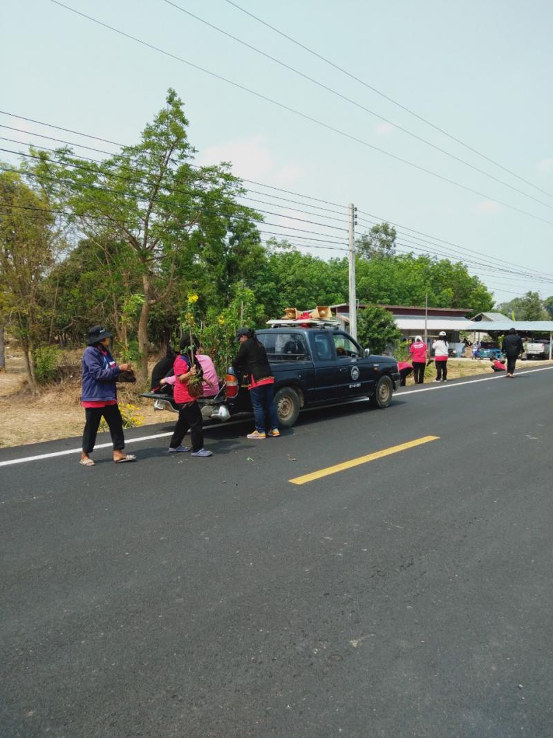 กิจกรรมปลูกต้นไม้ประจำปีแห่งชาติ (5 ภาพ)