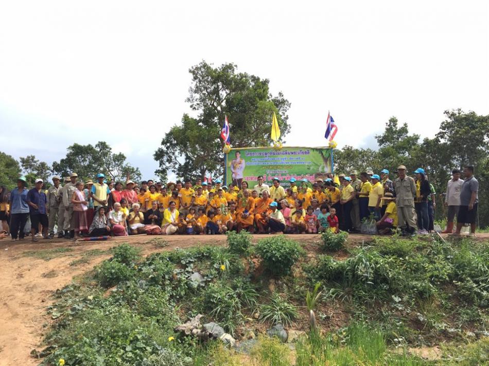 โครงการปลูกป่าเฉลิมพระเกียรติฯ (5 ภาพ)